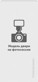 Входная дверь Калиста (вид снаружи) - купить в Нижнем Новгороде