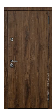 Входная дверь Бродвей (вид снаружи) - купить в Нижнем Новгороде