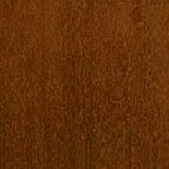 Дуб золотой