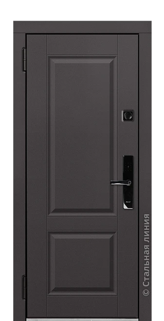 Входная дверь Дельфа (вид снаружи) - купить в Нижнем Новгороде