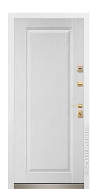 Входная дверь Дельфа (вид изнутри) - купить в Нижнем Новгороде