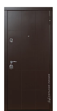 Входная дверь Степ (вид снаружи) - купить в Нижнем Новгороде