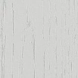 Дуб снежный