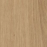 Дуб артизан