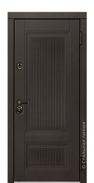 Входная дверь Толсон (вид снаружи) - купить в Нижнем Новгороде
