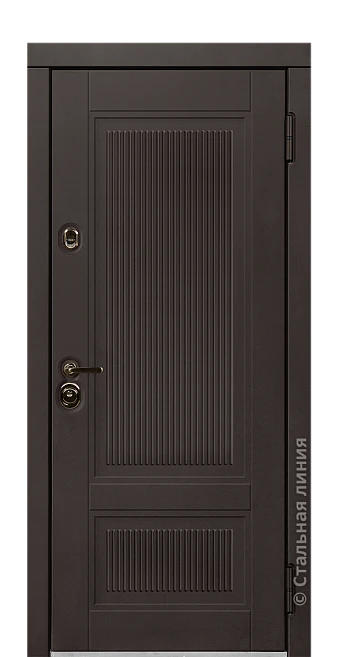 Входная дверь Толсон (вид снаружи) - купить в Нижнем Новгороде