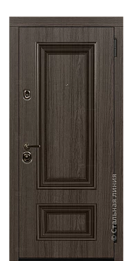 Входная дверь Поло (вид снаружи) - купить в Нижнем Новгороде
