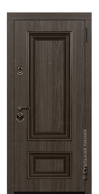 Входная дверь Поло (вид снаружи) - купить в Нижнем Новгороде