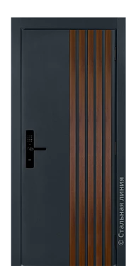 Входная дверь Борнео (вид снаружи) - купить в Нижнем Новгороде
