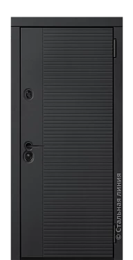 Входная дверь Миолея (вид снаружи) - купить в Нижнем Новгороде