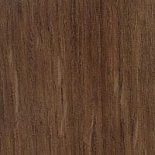 Дуб королевский