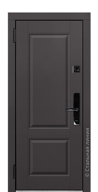 Входная дверь Дельфа (вид снаружи) - купить в Нижнем Новгороде