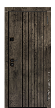 Входная дверь Лигейя (вид снаружи) - купить в Нижнем Новгороде