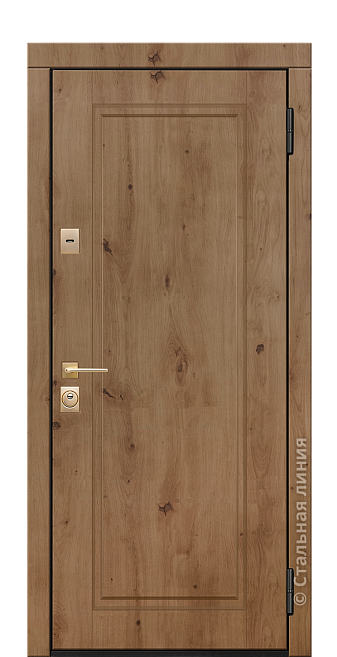 Входная дверь Амарис (вид снаружи) - купить в Нижнем Новгороде