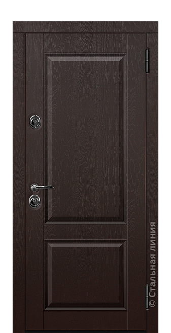 Входная дверь Дельфа (вид снаружи) - купить в Нижнем Новгороде